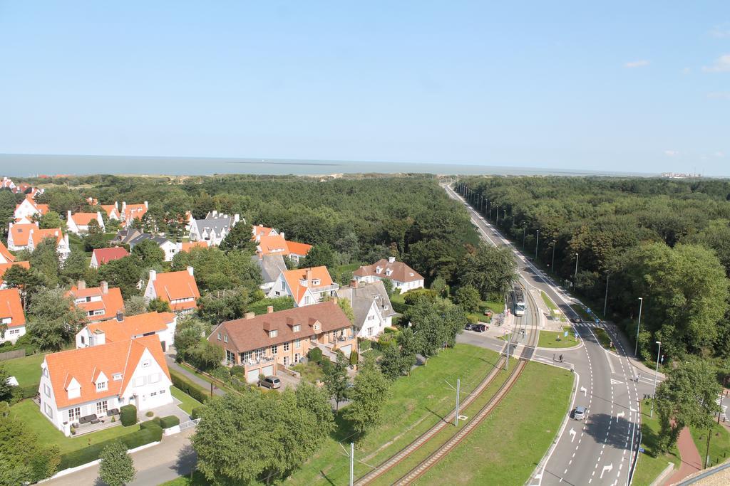 Fernadine 2*